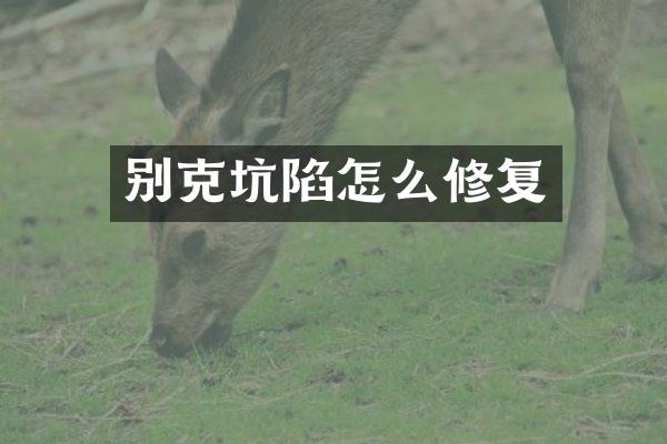 别克坑陷怎么修复