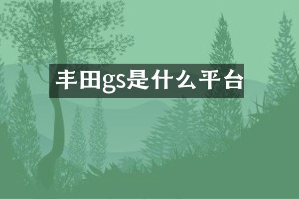 丰田gs是什么平台