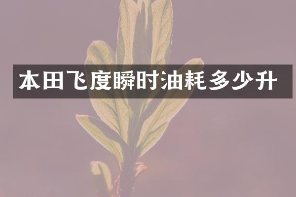 本田飞度瞬时油耗多少升