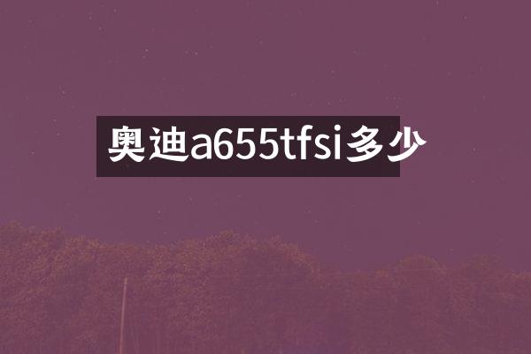 奥迪a655tfsi多少