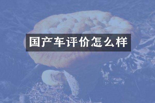 国产车评价怎么样