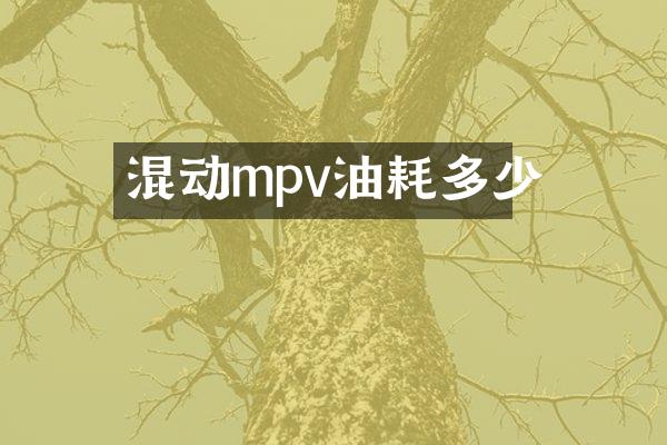 混动mpv油耗多少