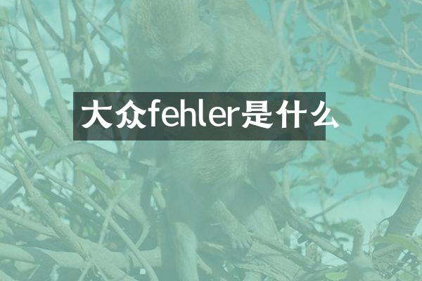 大众fehler是什么