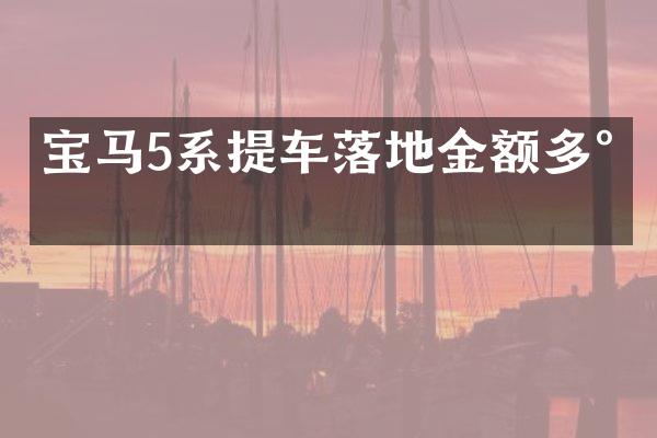 宝马5系提车落地金额多少