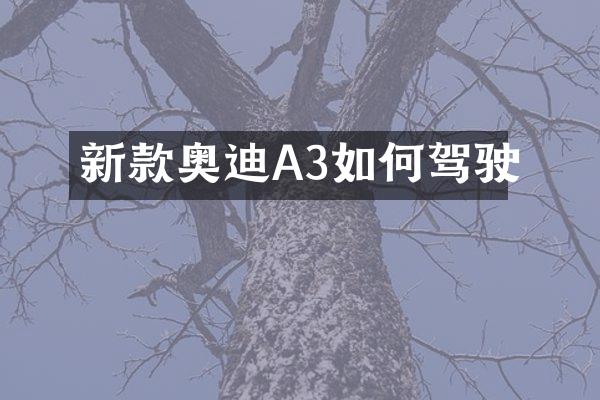 新款奥迪A3如何驾驶