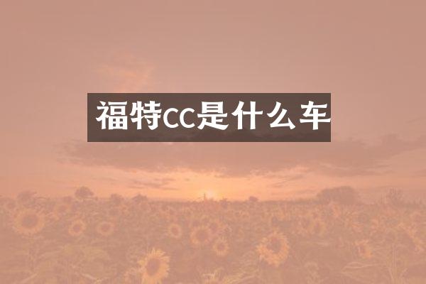 福特cc是什么车