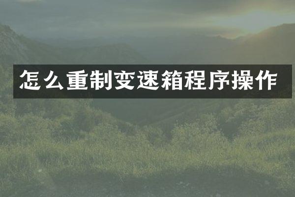 怎么重制变速箱程序操作