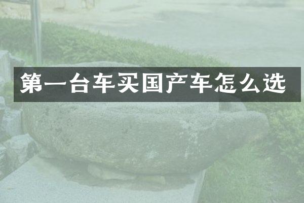 第一台车买国产车怎么选