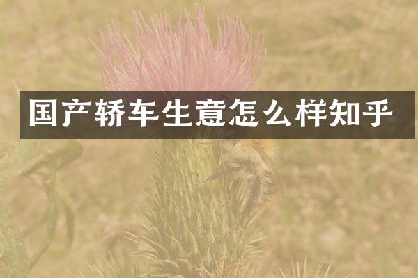 国产轿车生意怎么样知乎
