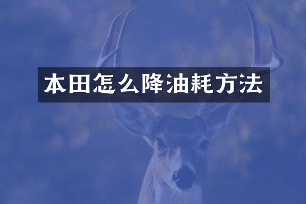 本田怎么降油耗方法