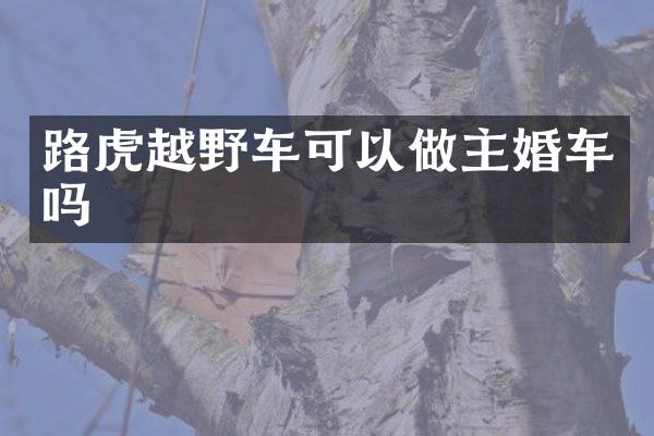路虎越野车可以做主婚车吗