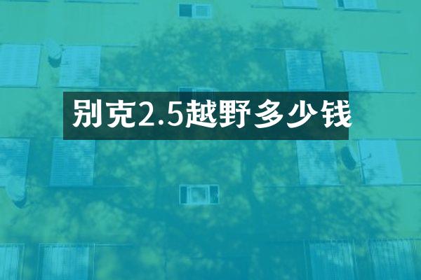别克2.5越野多少钱