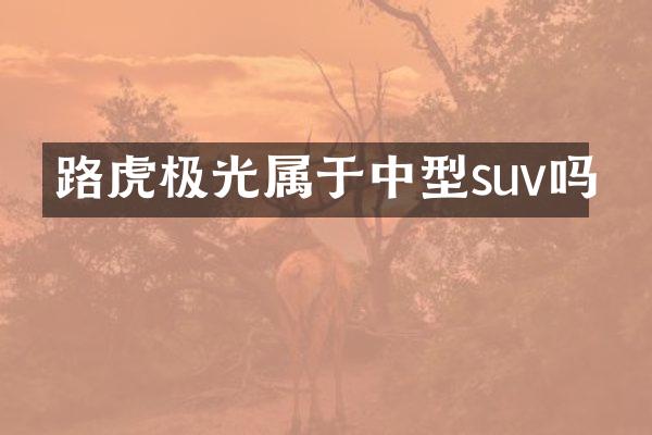 路虎极光属于中型suv吗