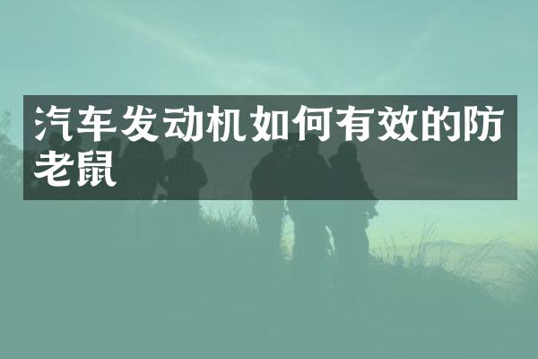 汽车发动机如何有效的防老鼠