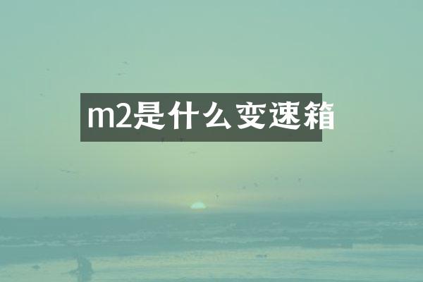 m2是什么变速箱