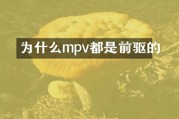 为什么mpv都是前驱的