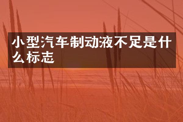 小型汽车制动液不足是什么标志