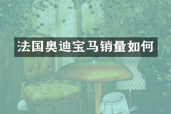 法国奥迪宝马销量如何