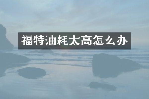 福特油耗太高怎么办