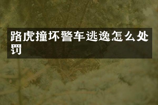路虎撞坏警车逃逸怎么处罚