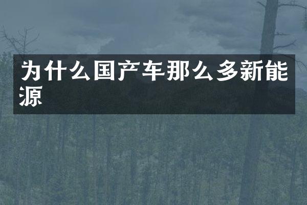 为什么国产车那么多新能源