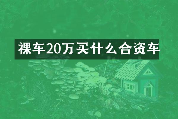 裸车20万合资车