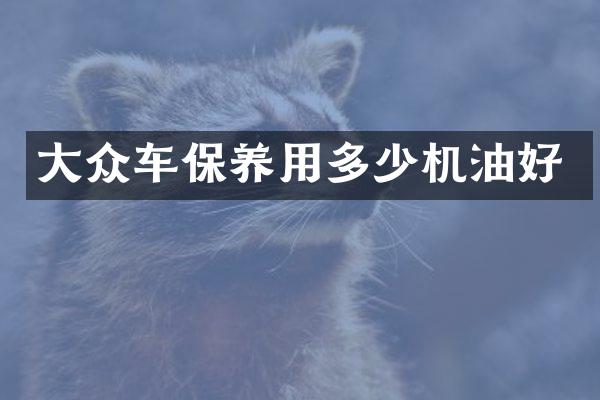 大众车保养用多少机油好