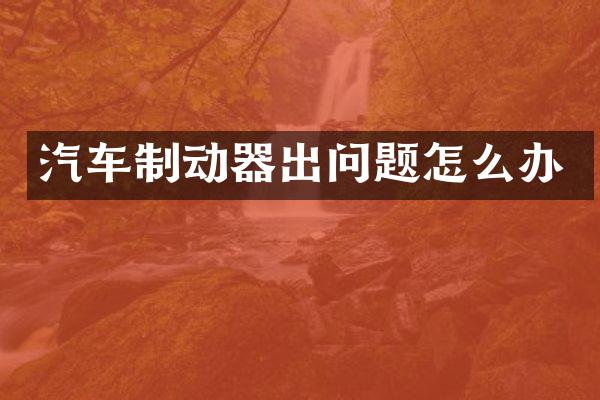 汽车制动器出问题怎么办