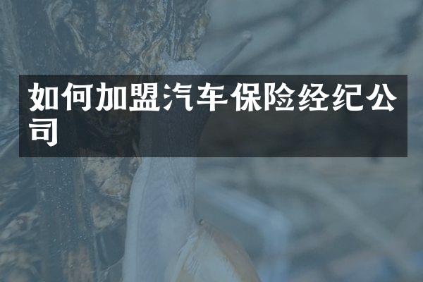 如何加盟汽车保险经纪公司
