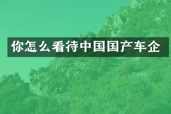 你怎么看待中国国产车企