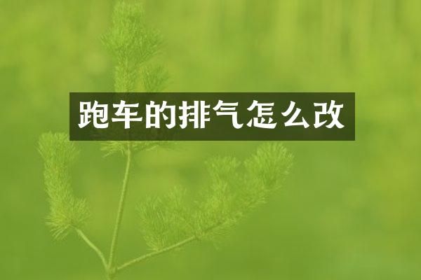 跑车的排气怎么改