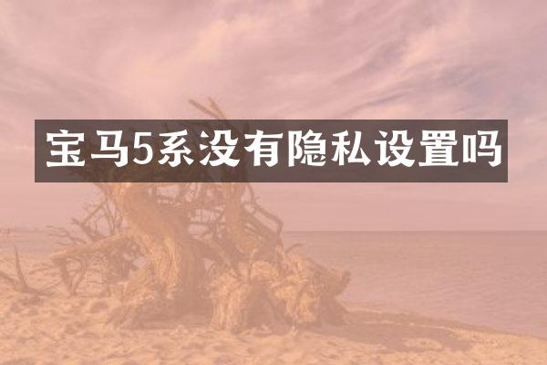 宝马5系没有隐私设置吗