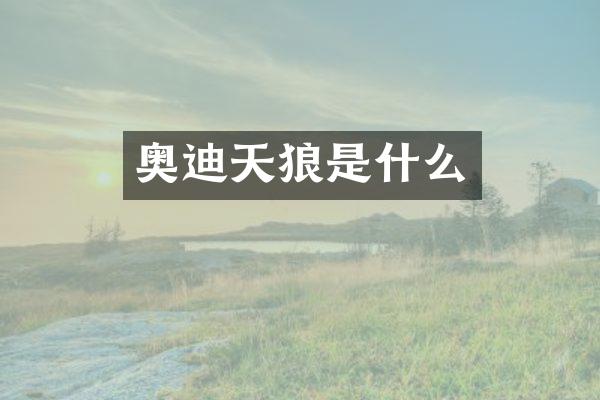 奥迪天狼是什么