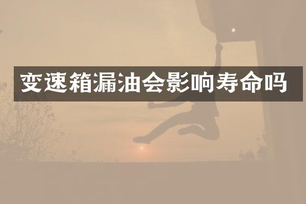 变速箱漏油会影响寿命吗