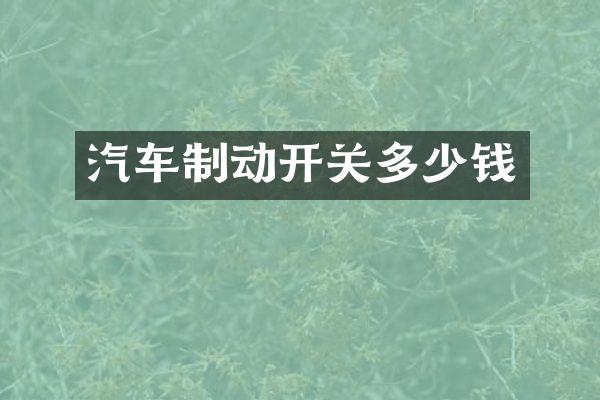 汽车制动开关多少钱