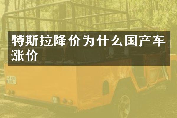 特斯拉降价为什么国产车涨价
