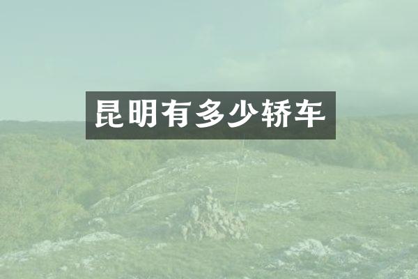 昆明有多少轿车