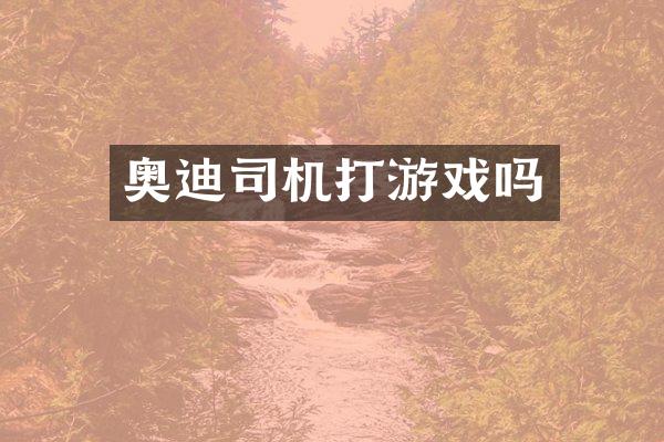 奥迪司机打游戏吗