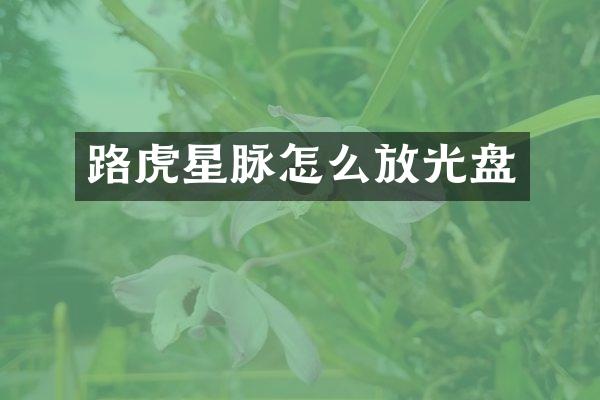 路虎星脉怎么放光盘