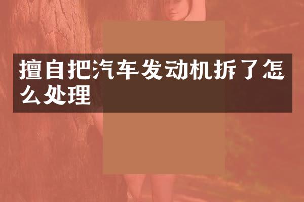 擅自把汽车发动机拆了怎么处理