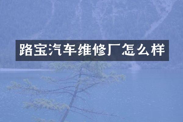 路宝汽车维修厂怎么样