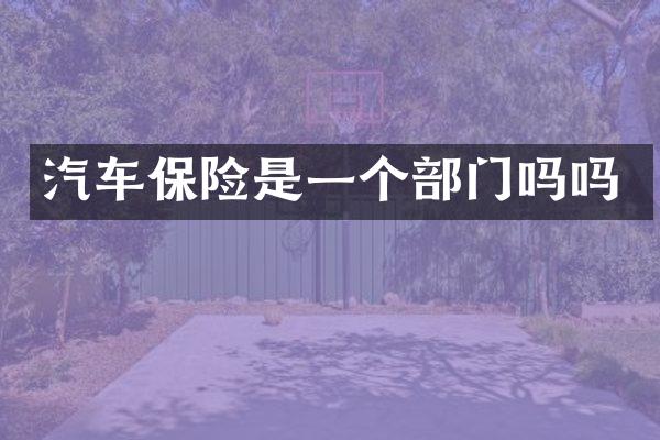 汽车保险是一个部门吗吗