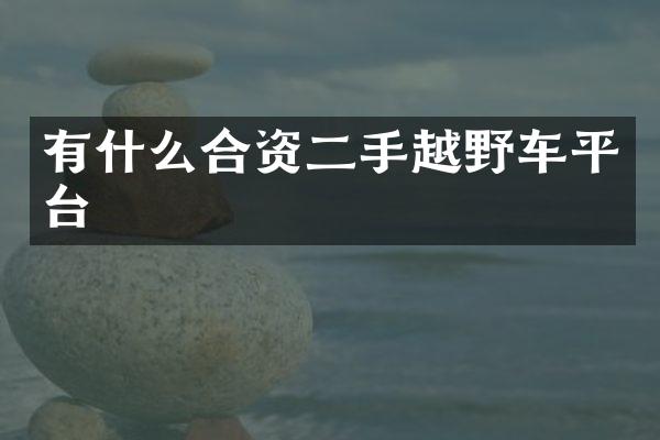 有什么合资二手越野车平台