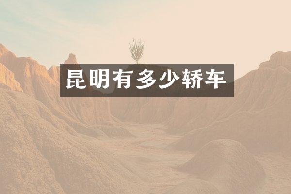 昆明有多少轿车