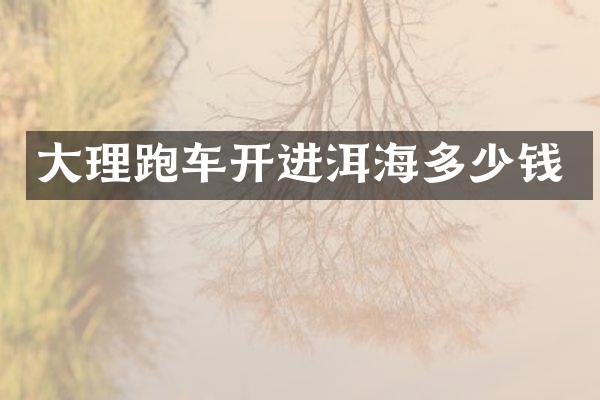大理跑车开进洱海多少钱