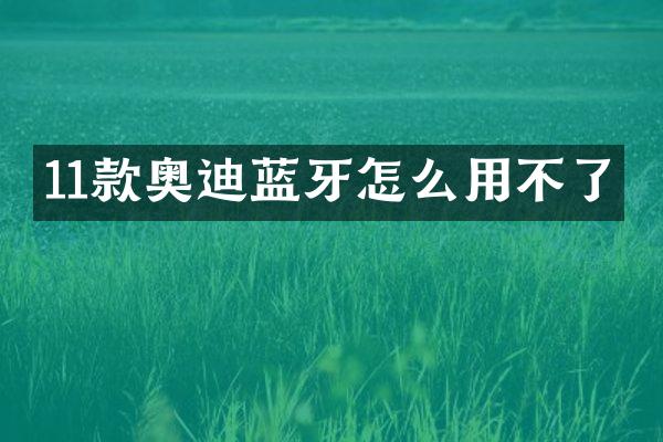 11款奥迪蓝牙怎么用不了