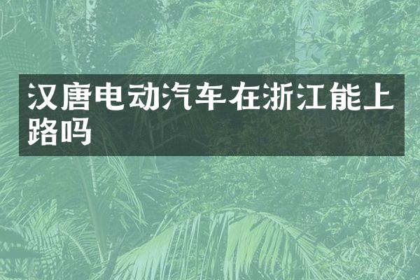 汉唐电动汽车在浙江能上路吗