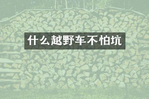什么越野车不怕坑