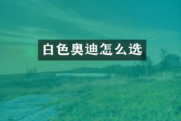 白色奥迪怎么选