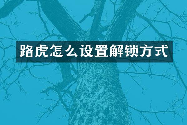 路虎怎么设置解锁方式